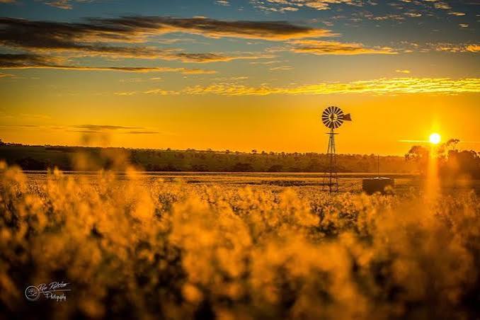 Outback Western Australia golden hour